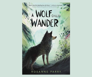 Tween Homeschool Boo